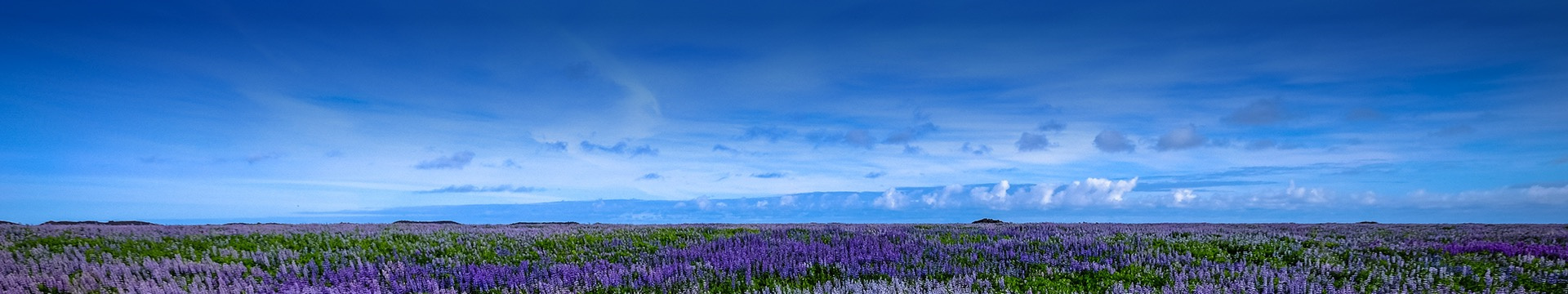 枣庄莲花山公墓